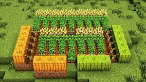 How to grow pumpkins Minecraft