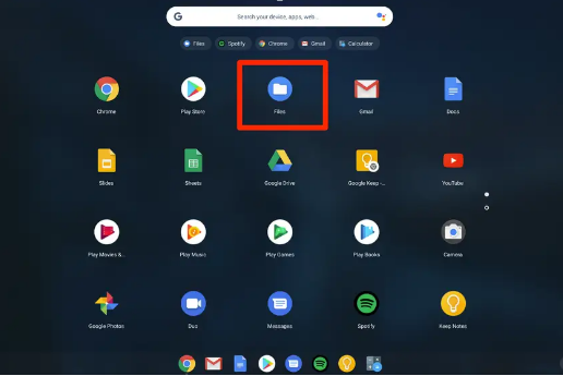 How to Delete Images on a Chromebook